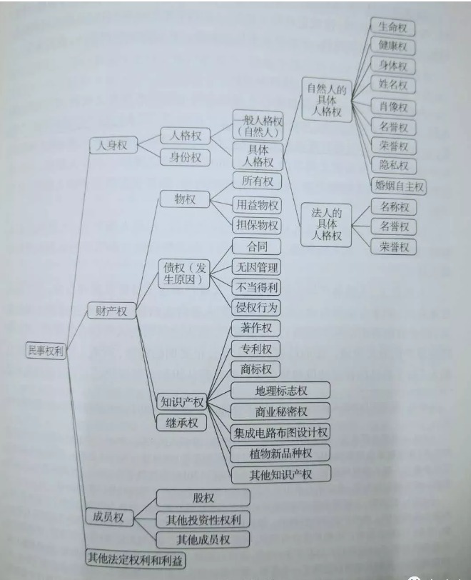 你贊同任正非