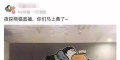 “王思聰”商標被公然叫賣80萬！