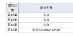 蔚來”為什么不用“未來”，商標是否被他人注冊