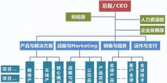 常見的組織架構類型有哪幾種(企業(yè)矩陣式組織結構圖)