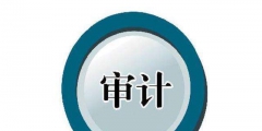 稅務審計與財務審計有什么區(qū)別（稅務審計與財務審計有什么區(qū)別呢）