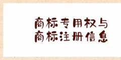 商標(biāo)注冊(cè)網(wǎng)上（查詢(xún)商標(biāo)注冊(cè)的官方網(wǎng)）