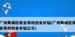 廣州黃埔區(qū)就業(yè)帶動創(chuàng)業(yè)補(bǔ)貼(廣州黃埔區(qū)就業(yè)帶動創(chuàng)業(yè)補(bǔ)貼公示)