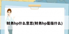 財務bp什么意思(財務bp是指什么)