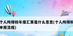 個人所得稅年度匯算是什么意思(個人所得稅申報流程)