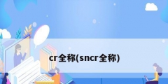 cr全稱(chēng)(sncr全稱(chēng))