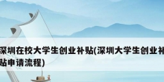 深圳在校大學生創(chuàng)業(yè)補貼(深圳大學生創(chuàng)業(yè)補貼申請流程)