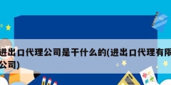 進出口代理公司是干什么的(進出口代理有限公司)