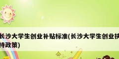 長沙大學(xué)生創(chuàng)業(yè)補(bǔ)貼標(biāo)準(zhǔn)(長沙大學(xué)生創(chuàng)業(yè)扶持政策)