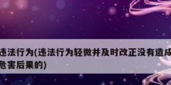 違法行為(違法行為輕微并及時改正沒有造成危害后果的)