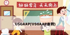 USGAAP(USGAAP準則)