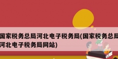 國家稅務總局河北電子稅務局(國家稅務總局河北電子稅務局網(wǎng)站)