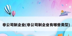 非公司制企業(yè)(非公司制企業(yè)有哪些類(lèi)型)