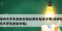 深圳大學(xué)生創(chuàng)業(yè)補貼社保補貼多少錢(深圳在校大學(xué)生創(chuàng)業(yè)補貼)