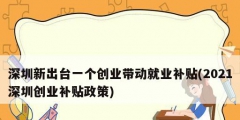 深圳新出臺一個(gè)創(chuàng)業(yè)帶動就業(yè)補(bǔ)貼(2021深圳創(chuàng)業(yè)補(bǔ)貼政策)