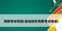 駕照考試項目(自動擋車駕照考試項目)